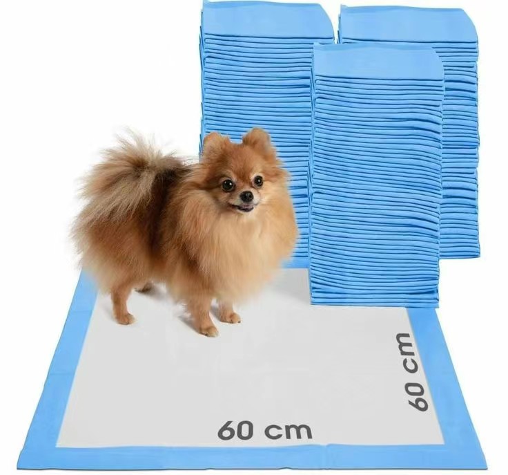 How to train dog to pee on pad?