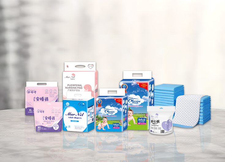Disposable Hygiene Products