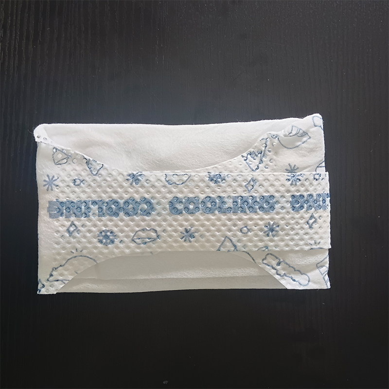 Gel Ice Pack